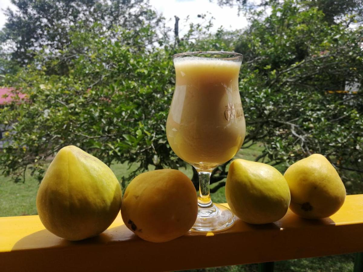 Hospedaje Rancho Guadalupe La Suiza Eksteriør bilde